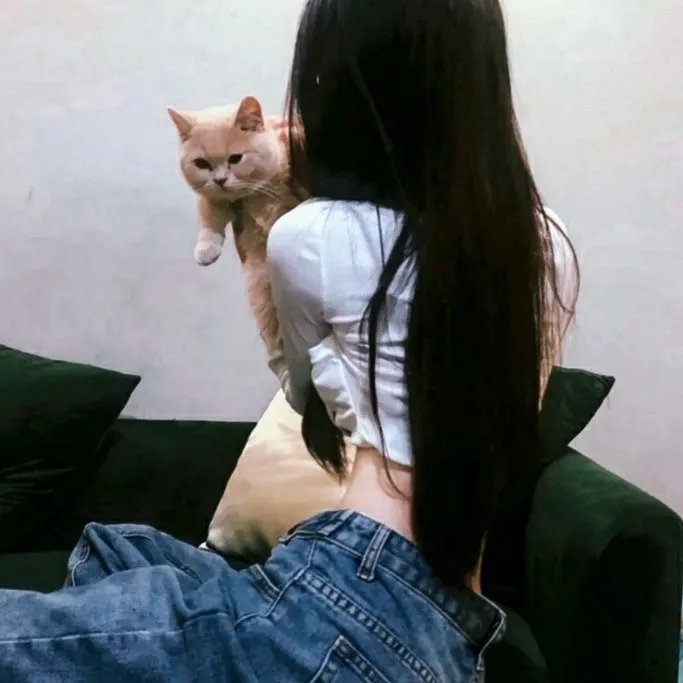 是,大臣第三季
